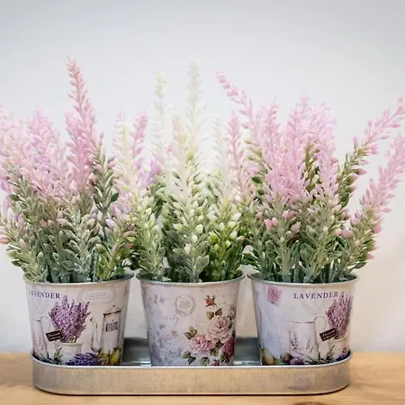 Apartamento Oaks With Balcony *